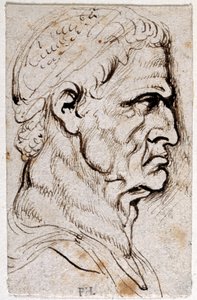 Vespasien, d