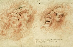 Deux études de la tête du Laocoon - Peter Paul Rubens