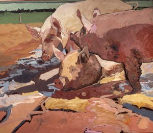 Des cochons au soleil et dans la boue