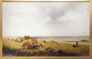 Un champ de maïs - Peter de Wint