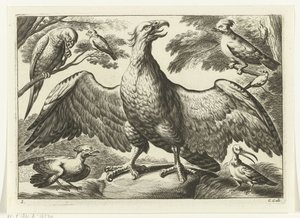 Aigle - Peter van Liesebetten