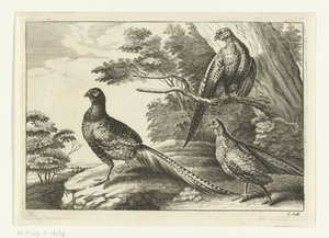 Trois faisans - Peter van Liesebetten