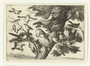 Oiseaux dans un arbre (Diversarum avium species, Verschillende vogels) - Peter van Liesebetten