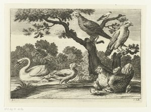 Cygne, poule avec poussins et autres oiseaux (Diversarum avium species, Verschillende vogels) - Peter van Liesebetten