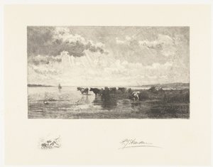 Bovins près d