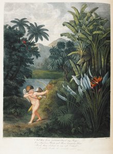 Cupidon inspirant les plantes avec amour