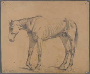 Cheval - Philip H. Wolfrom
