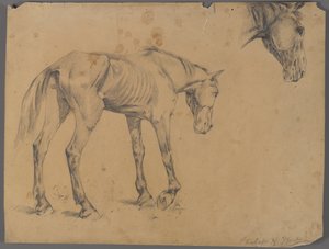 Cheval et tête de cheval - Philip H. Wolfrom