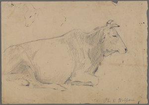 Taureau assis - Philip H. Wolfrom