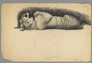 Tigre endormi - Philip H. Wolfrom