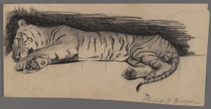 Tigre endormi - Philip H. Wolfrom