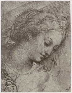 Carlo Dolci, Tête de la Vierge - Philip Henry Delamotte