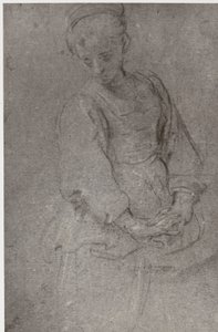 Domenichino, Chagrin - Philip Henry Delamotte