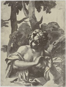 Une fille se tressant les cheveux - Philip Henry Delamotte