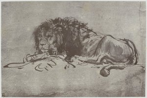 Un lion