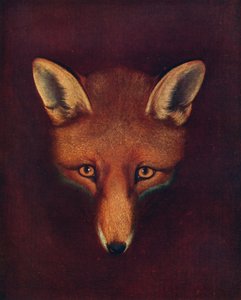 Renard le goupil, c1800, 1922