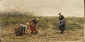 Femmes de Scheveningen vérifiant un champ de pommes de terre récolté - Philip Sadée