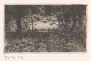 Prairie avec clôture et arbres - Philip Zilcken