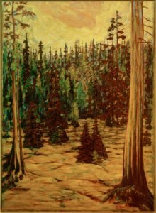 Forêt d