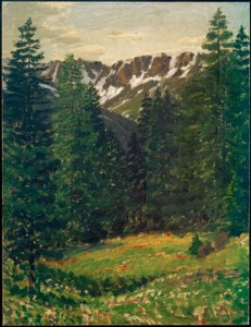 Paysage forestier