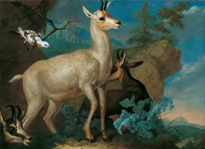 Trois chamois et un merle - Philipp Ferdinand de Hamilton