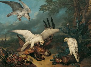 Un Milan rouge, vaincu par des faucons islandais - Philipp Ferdinand de Hamilton