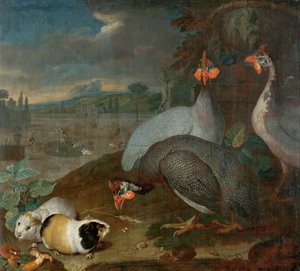 Pintades avec cobayes - Philipp Ferdinand de Hamilton