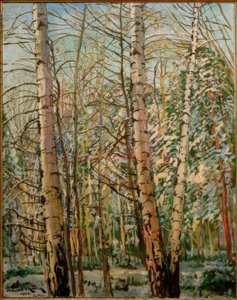 Bouleaux dans la neige - Philipp Franck