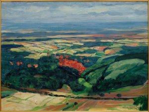 Vue sur Kronberg dans la plaine du Main