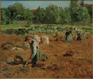 Récolte de pommes de terre - Philipp Franck