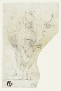 Vache
