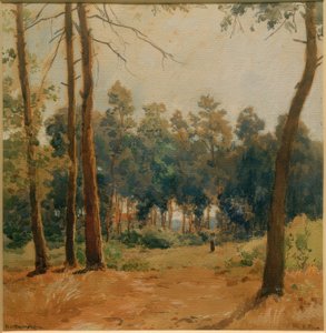 Paysage forestier près de Hartmannshofen