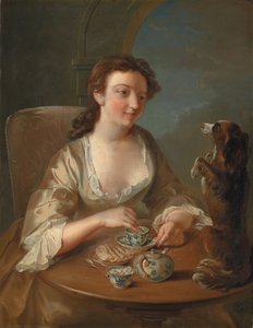Bonjour