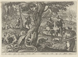 Chasse aux chats sauvages