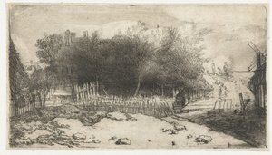 Paysage avec une clôture blanche