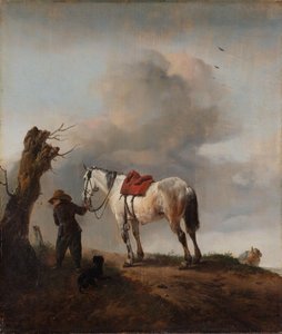 Le cheval gris