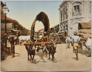 Inde. Ceylan. Colombo. Scène de rue, d