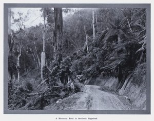 Une route de montagne dans le sud du Gippsland - Photographer Australian