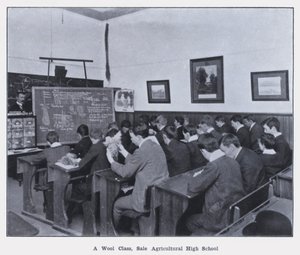 Une classe de laine, école agricole de vente - Photographer Australian