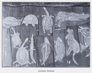 Dessins aborigènes - Photographer Australian