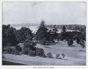 Jardins botaniques, Farm Cove, Sydney