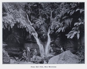 Chutes de Fairy Dell, Blue Mountains - Photographer Australian