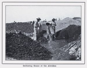 Récolte de guano aux Abrolhos - Photographer Australian
