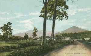 Healesville, Victoria, Australie - Photographer Australian