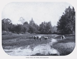 Lockyer Creek, près de Laidley, Queensland du Sud - Photographer Australian