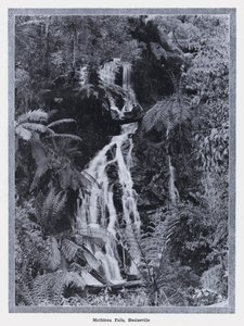 Chutes de Mathinna, Healesville - Photographer Australian