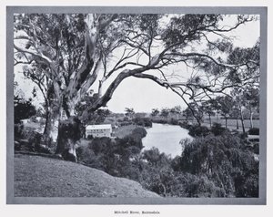 Rivière Mitchell, Bairnsdale - Photographer Australian