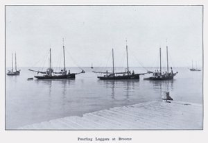 Perliers à Broome