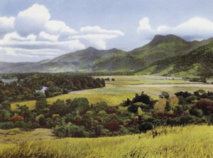 Queensland, Australie : Terres à sucre à Mossman - Photographer Australian