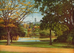  - Photographer Australian